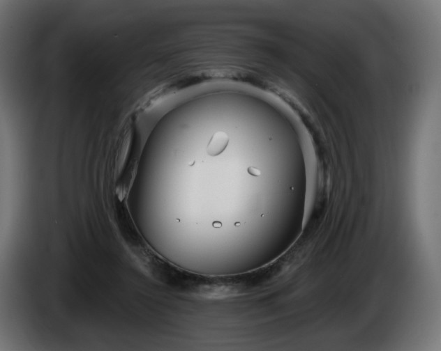 X0000084540356200703021449