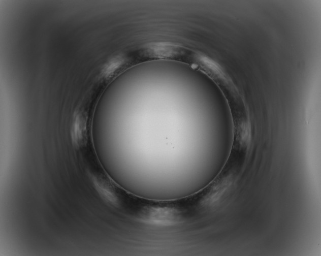 X0000084540360200703021449