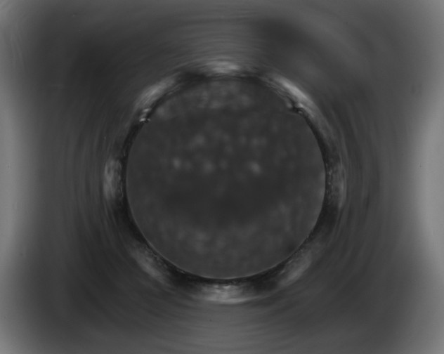 X0000084540361200703021449