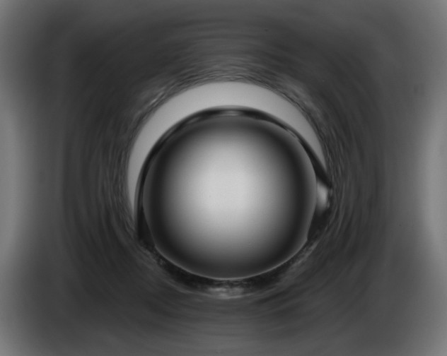 X0000084540362200703021449