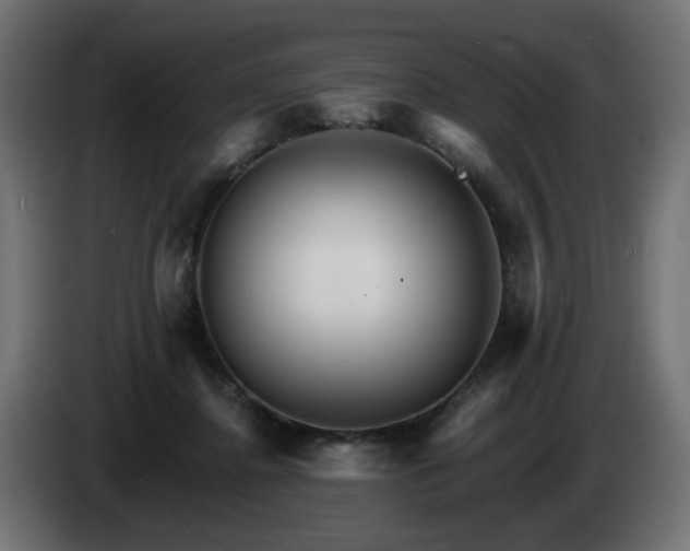 X0000084540364200703021449