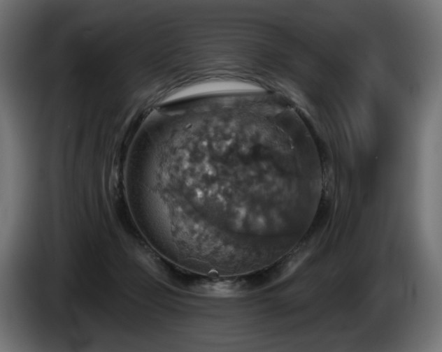 X0000084540365200703021449