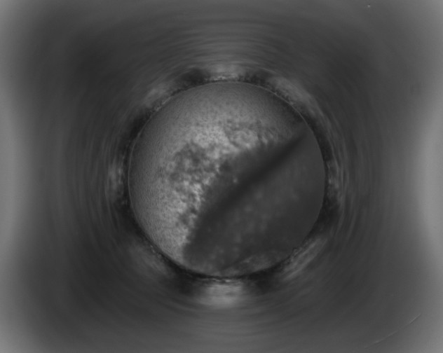 X0000084540369200703021449