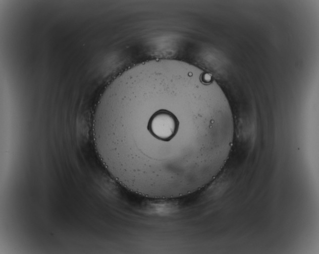 X0000084540370200703021449