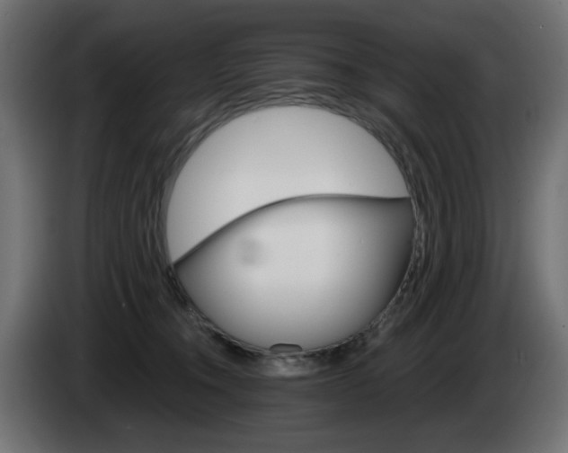 X0000084540372200703021449