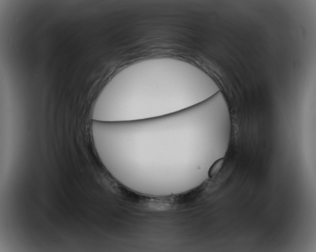 X0000084540373200703021449