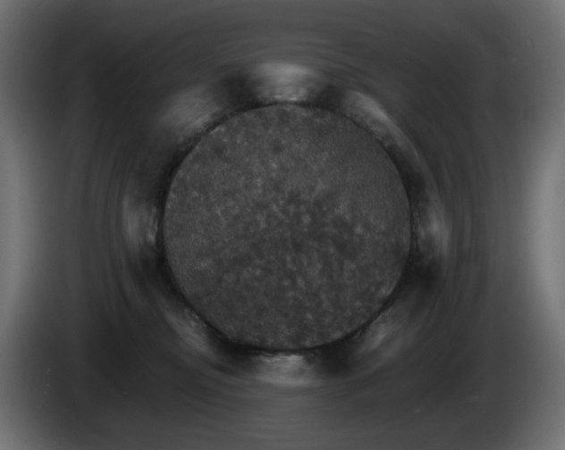 X0000084540374200703021449