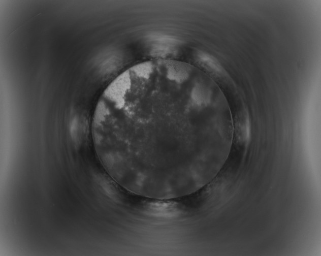 X0000084540375200703021449