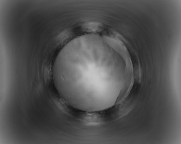 X0000084540376200703021449