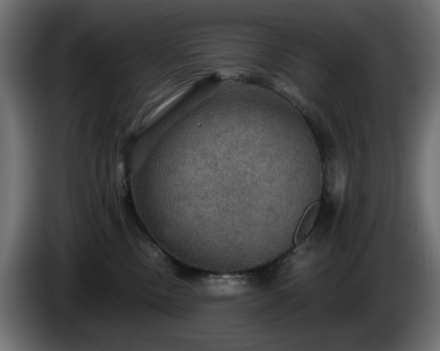 X0000084540378200703021449