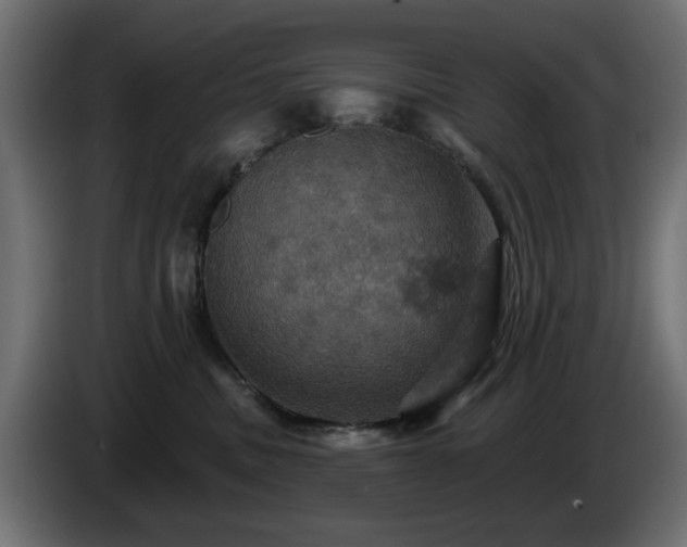 X0000084540379200703021449