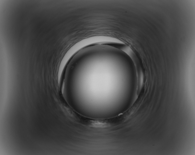 X0000084540380200703021449