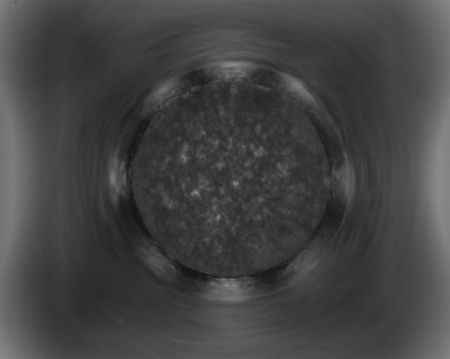 X0000084540381200703021449