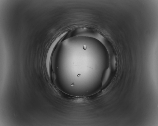 X0000084540382200703021449