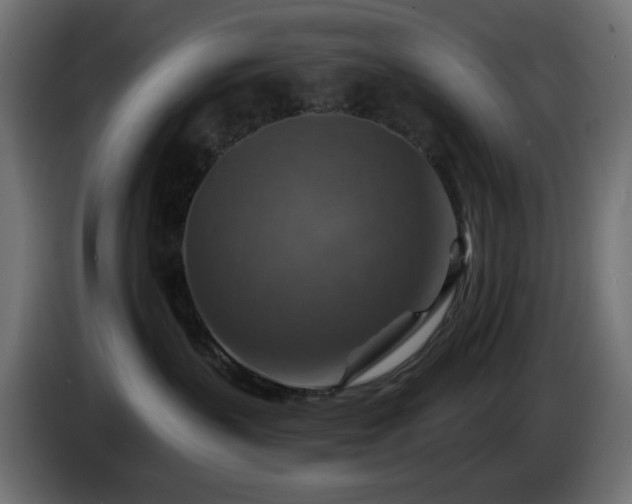 X0000084540383200703021449