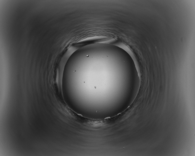 X0000084540384200703021449