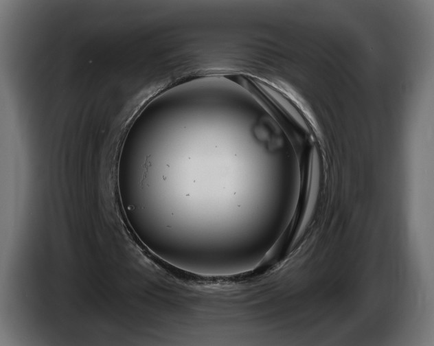 X0000084540385200703021448