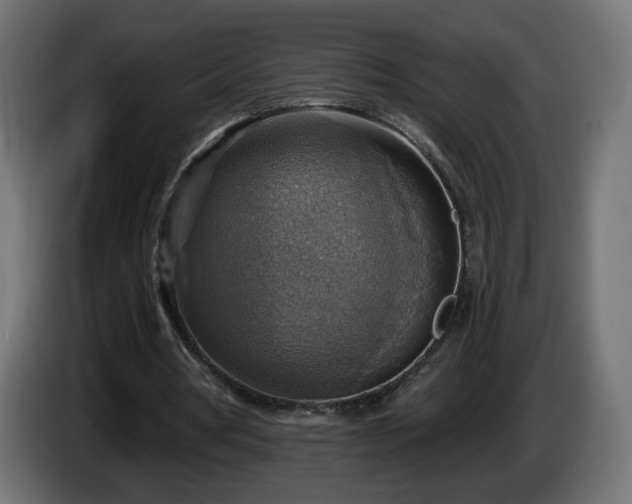 X0000084540386200703021448