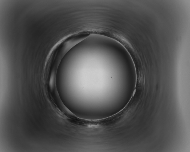 X0000084540388200703021448