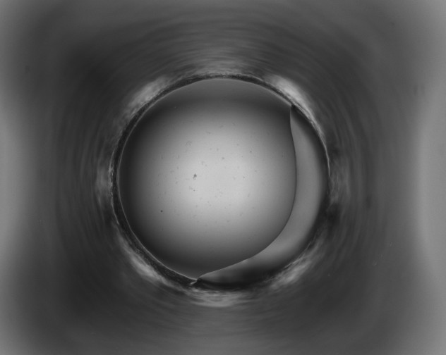 X0000084540389200703021448