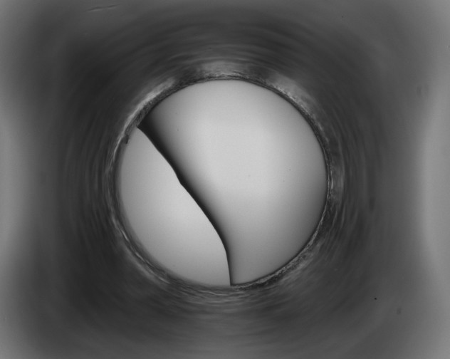 X0000084540390200703021448