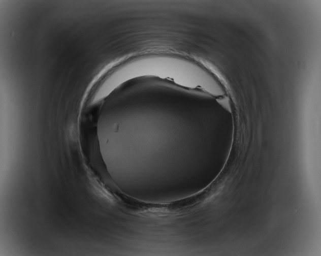 X0000084540391200703021448