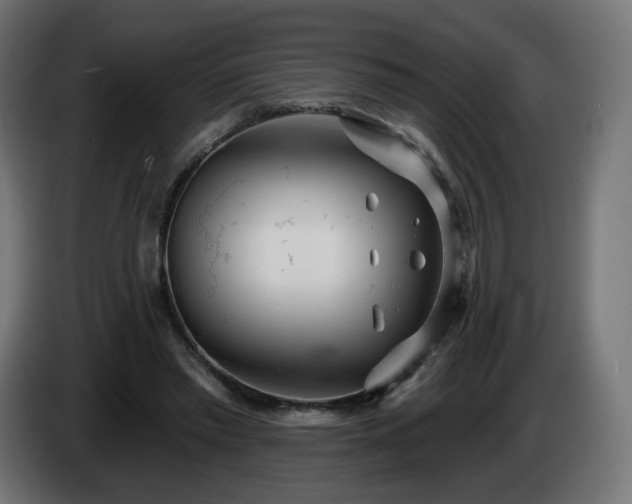 X0000084540397200703021448