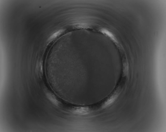 X0000084540398200703021448