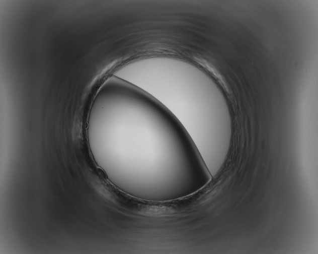 X0000084540399200703021448