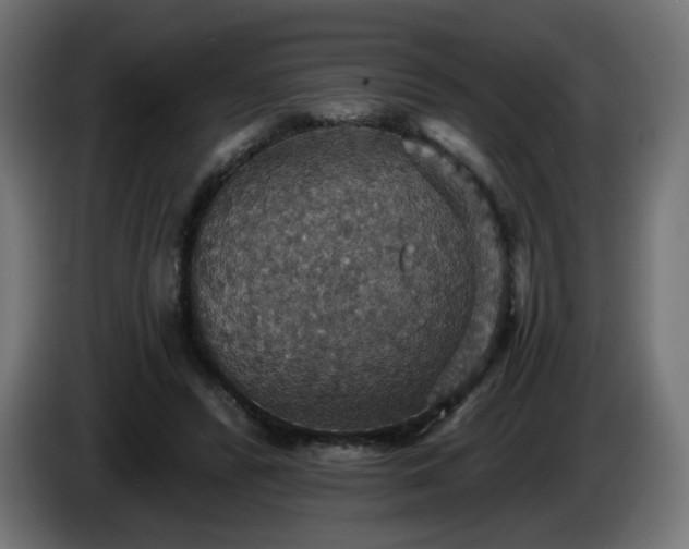 X0000084540400200703021448