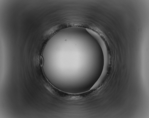 X0000084540401200703021448