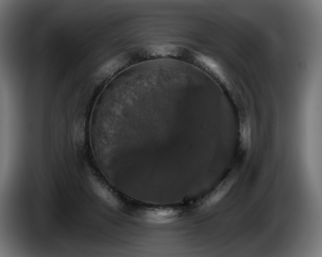 X0000084540402200703021448