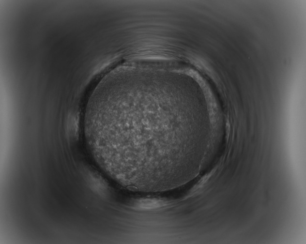 X0000084540404200703021448