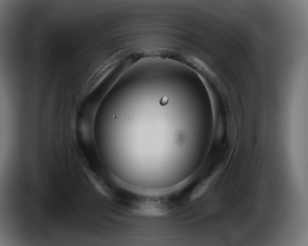 X0000084540405200703021448