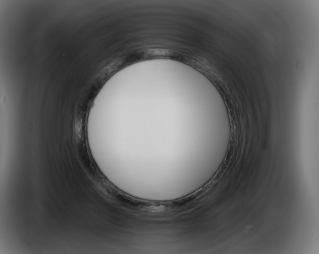 X0000084540406200703021448