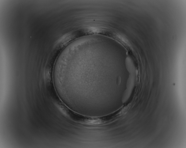 X0000084540410200703021448