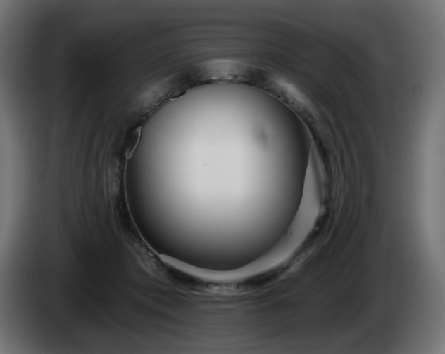 X0000084540413200703021448