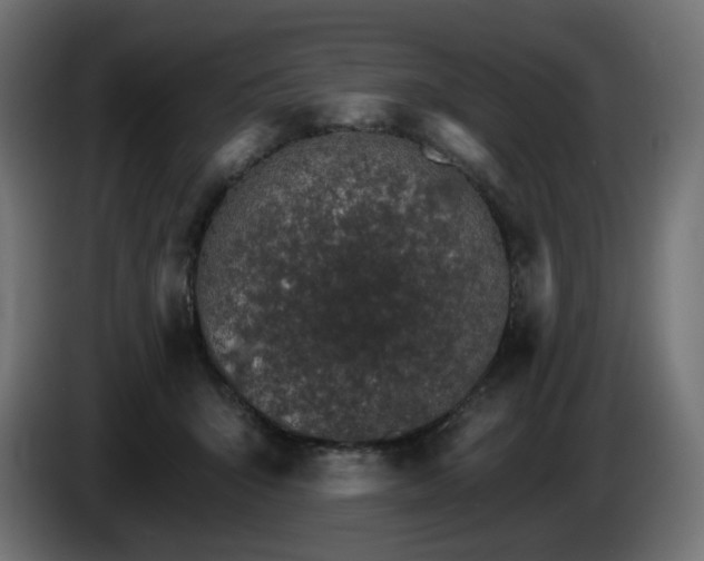 X0000084540415200703021448