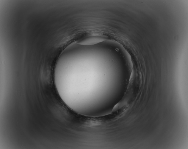 X0000084540416200703021448