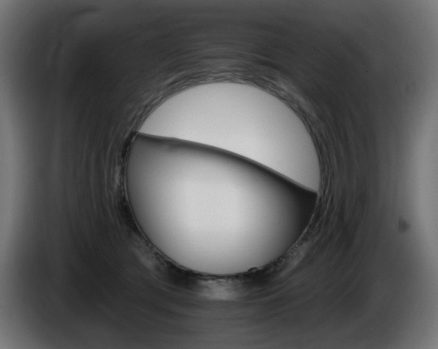 X0000084540417200703021448