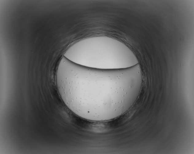 X0000084540418200703021448