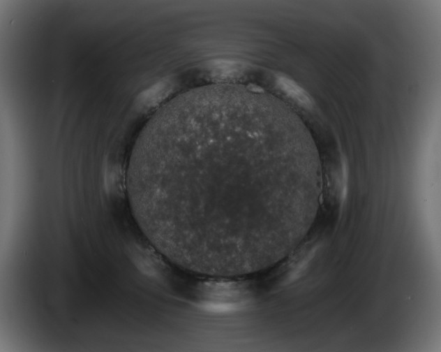 X0000084540419200703021448