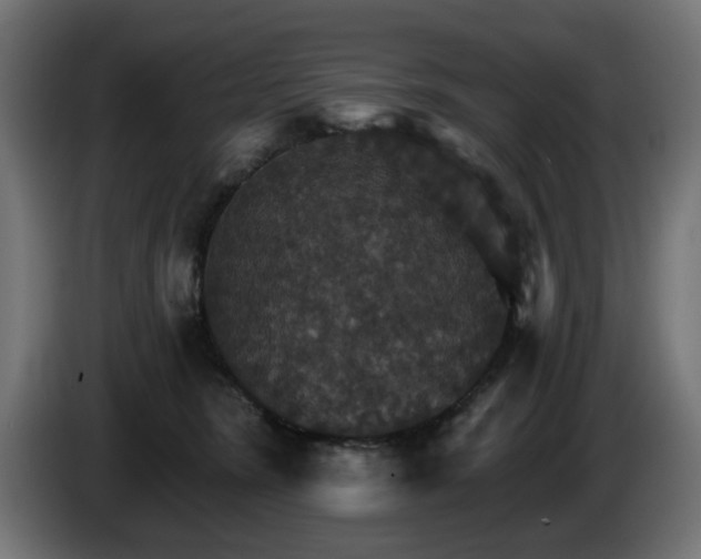 X0000084540420200703021448