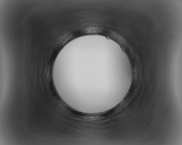 X0000084540422200703021448