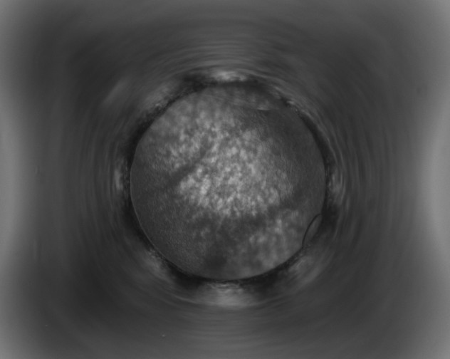 X0000084540424200703021448