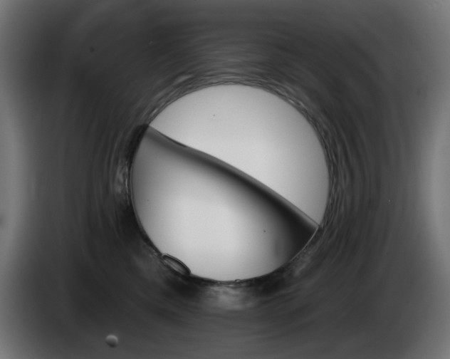 X0000084540425200703021448