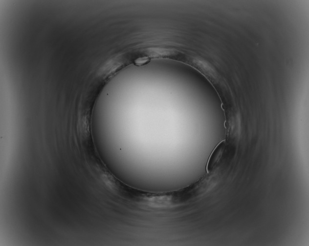 X0000084540426200703021448