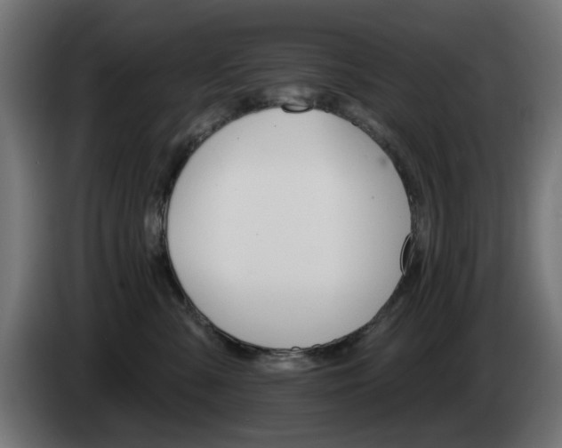 X0000084540427200703021448