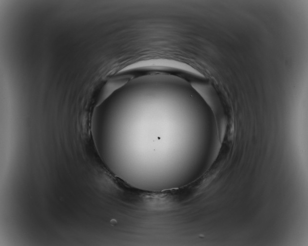 X0000084540428200703021448