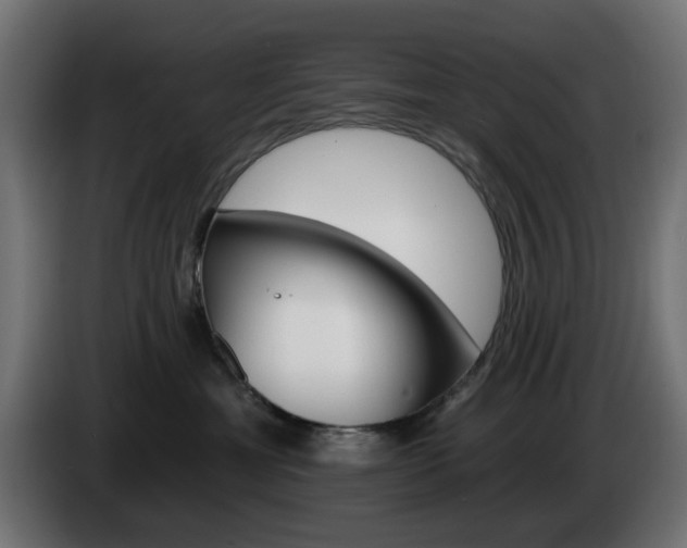 X0000084540429200703021448